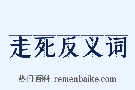 走死反义词是什么意思的图片